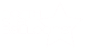 North Star Balloons